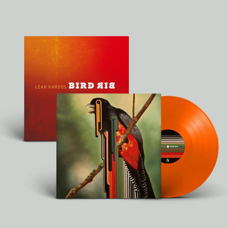 BirdRibVinyl